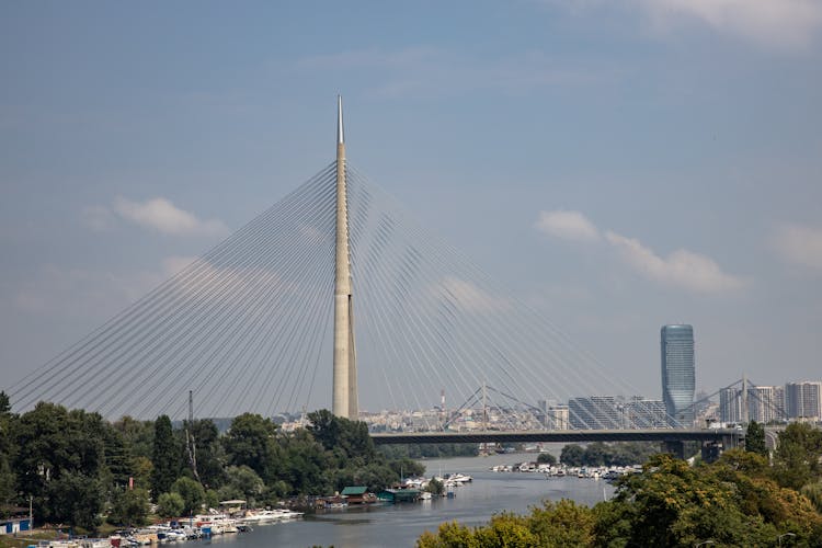 Ada Bridge In Belgrade