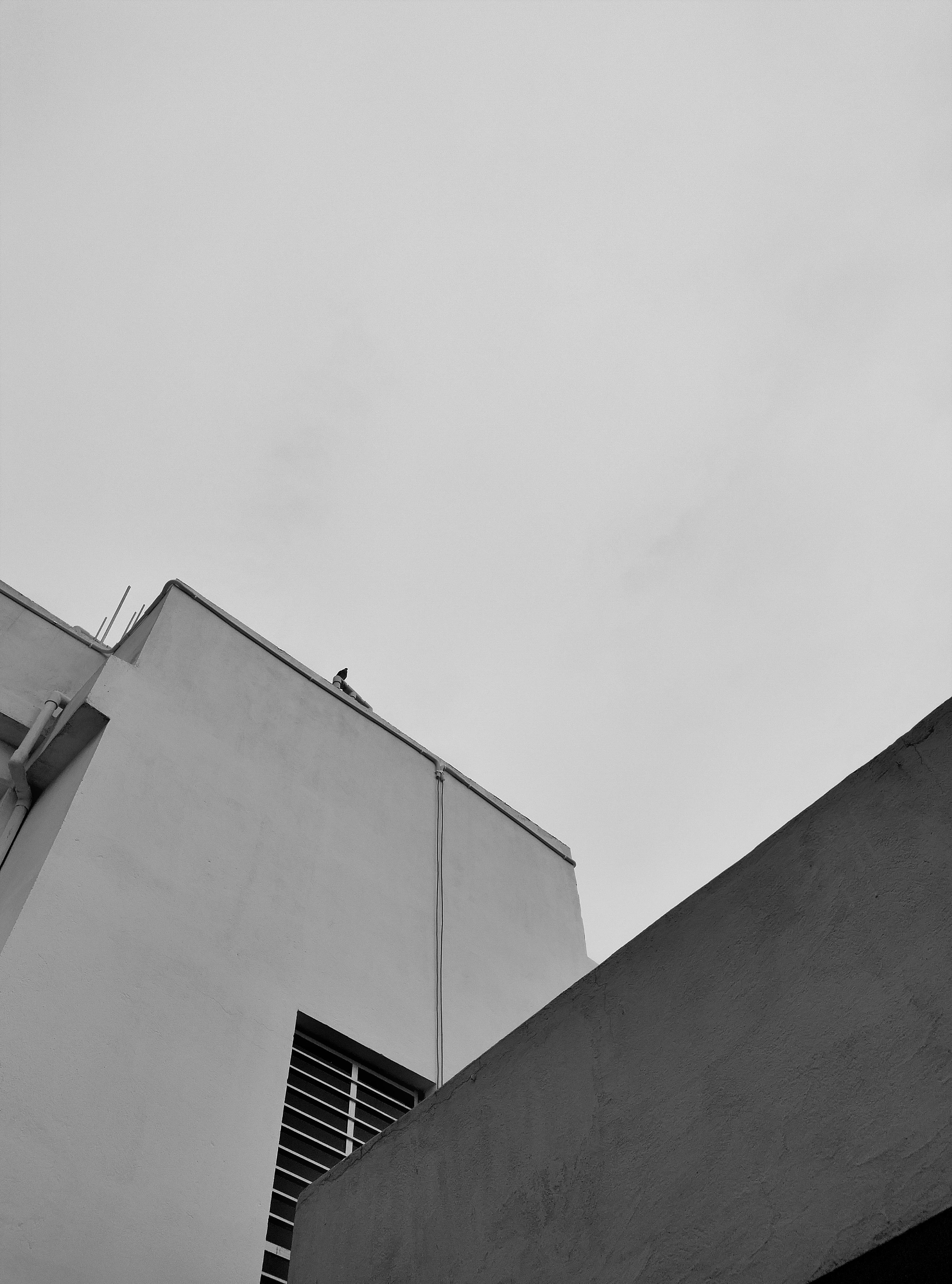 Kostnadsfria Kostnadsfri bild av abstrakt, arkitektur, betong Stock foto