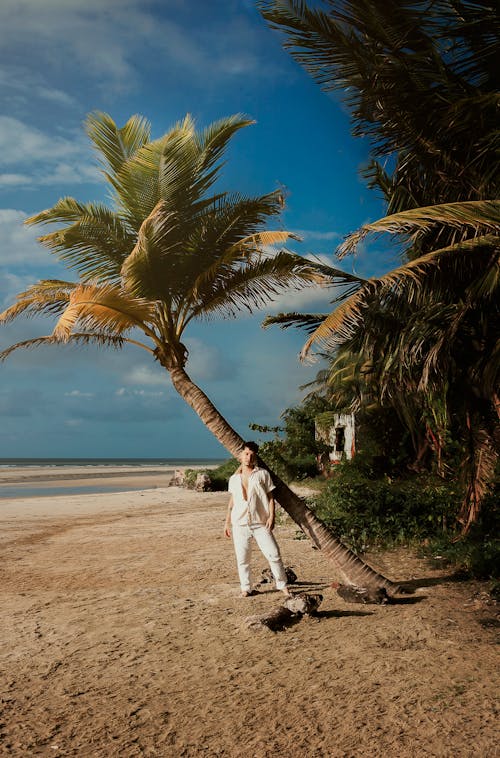 남자, 모래, 섬의 무료 스톡 사진