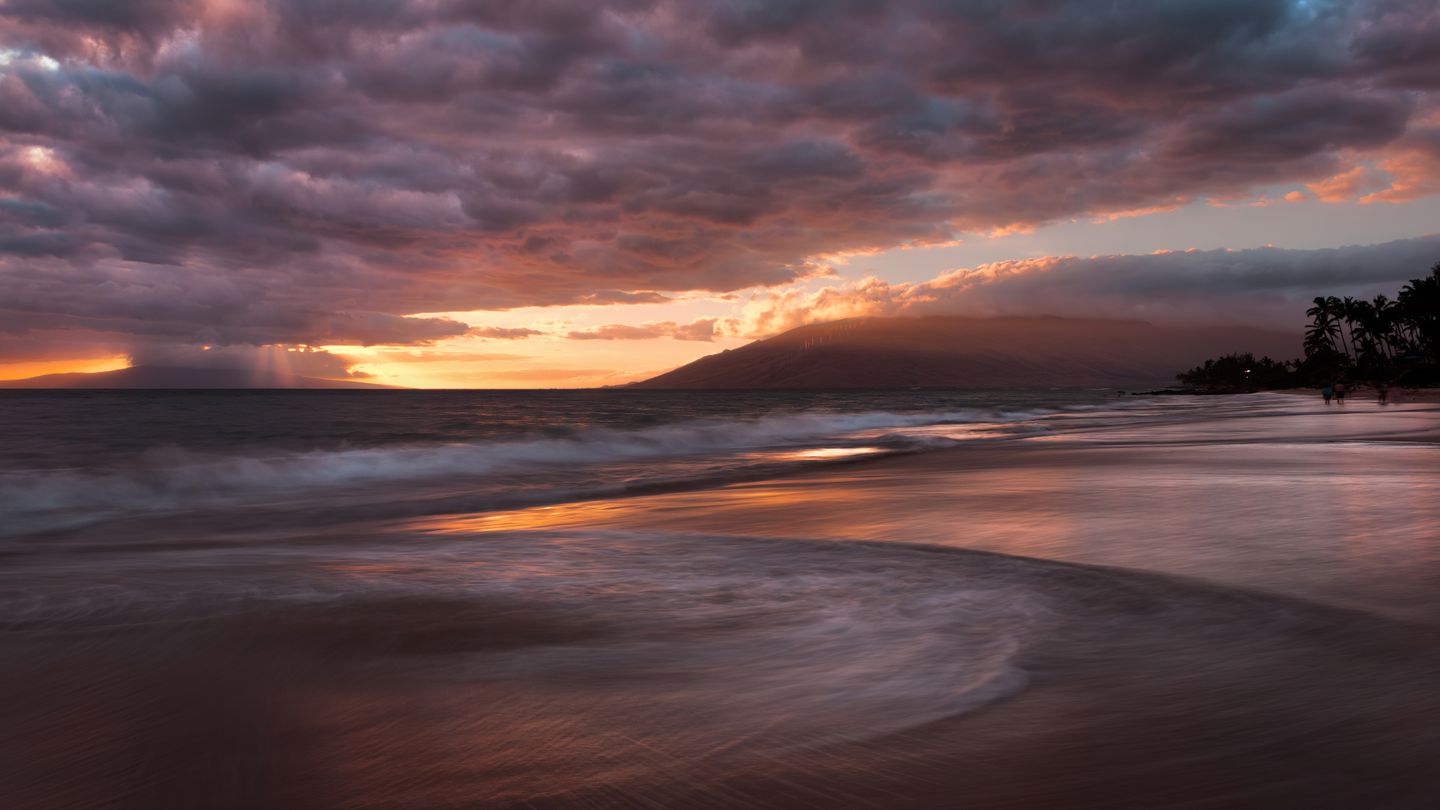 A quiet Maui beach with palms and calm water