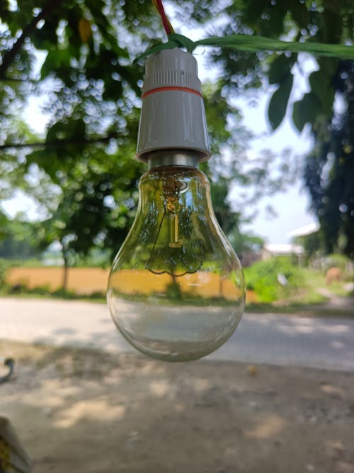 Free stock photo of bulb