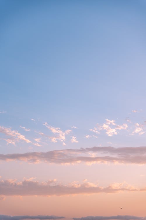 Gratis stockfoto met altocumulus, cloudscape, dageraad