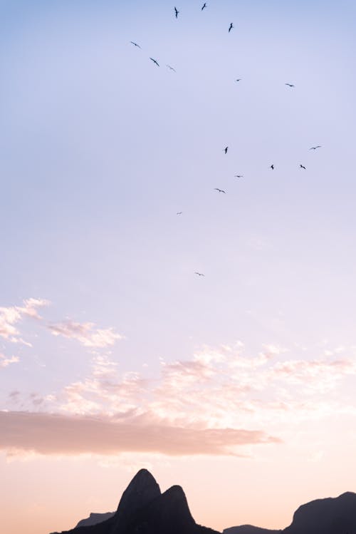 Základová fotografie zdarma na téma hory, kopce, růžové nebe