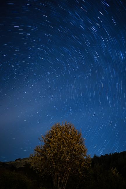 Captivating star trails over a solitary tree in rural Italy's night sky.
