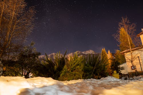 Stars in Night Sky over Yard