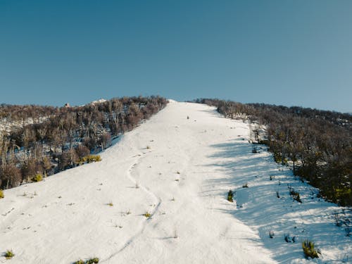 Ski Slope on Hill