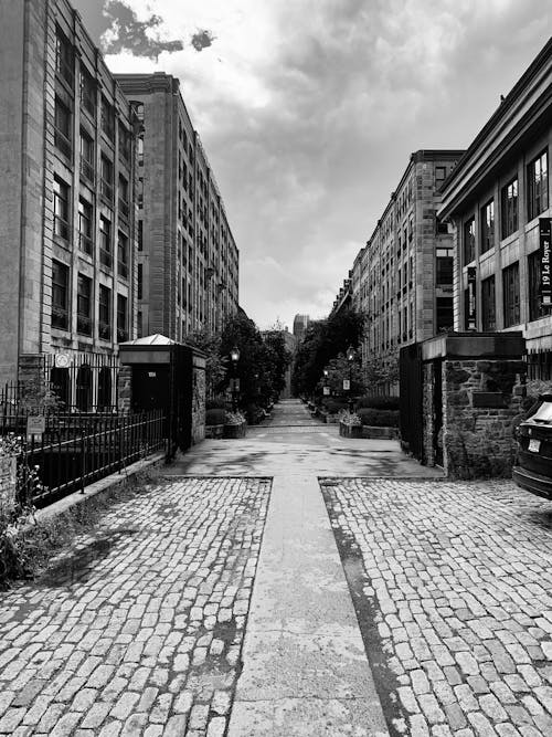 Paving Street in Residential District