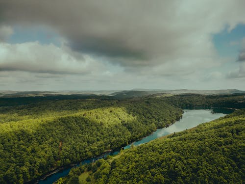 River Curve in Forested Landscape