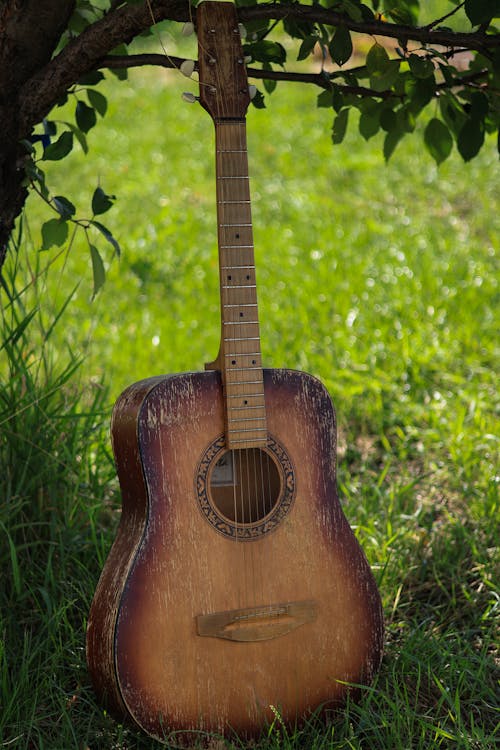 Kostnadsfri bild av gitarr, gräs, instrument