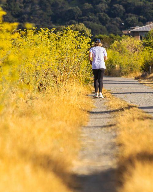Free Back view of a woman jogging on a rural path surrounded by summer greenery. Stock Photo