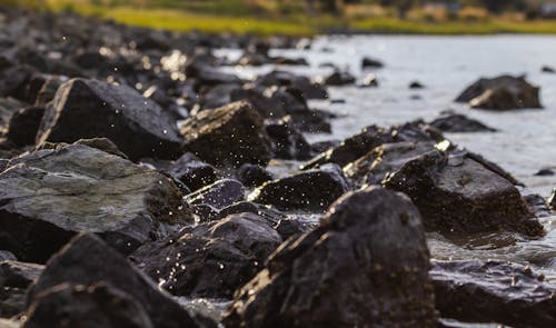 Close-up of Rocks on the Shore 