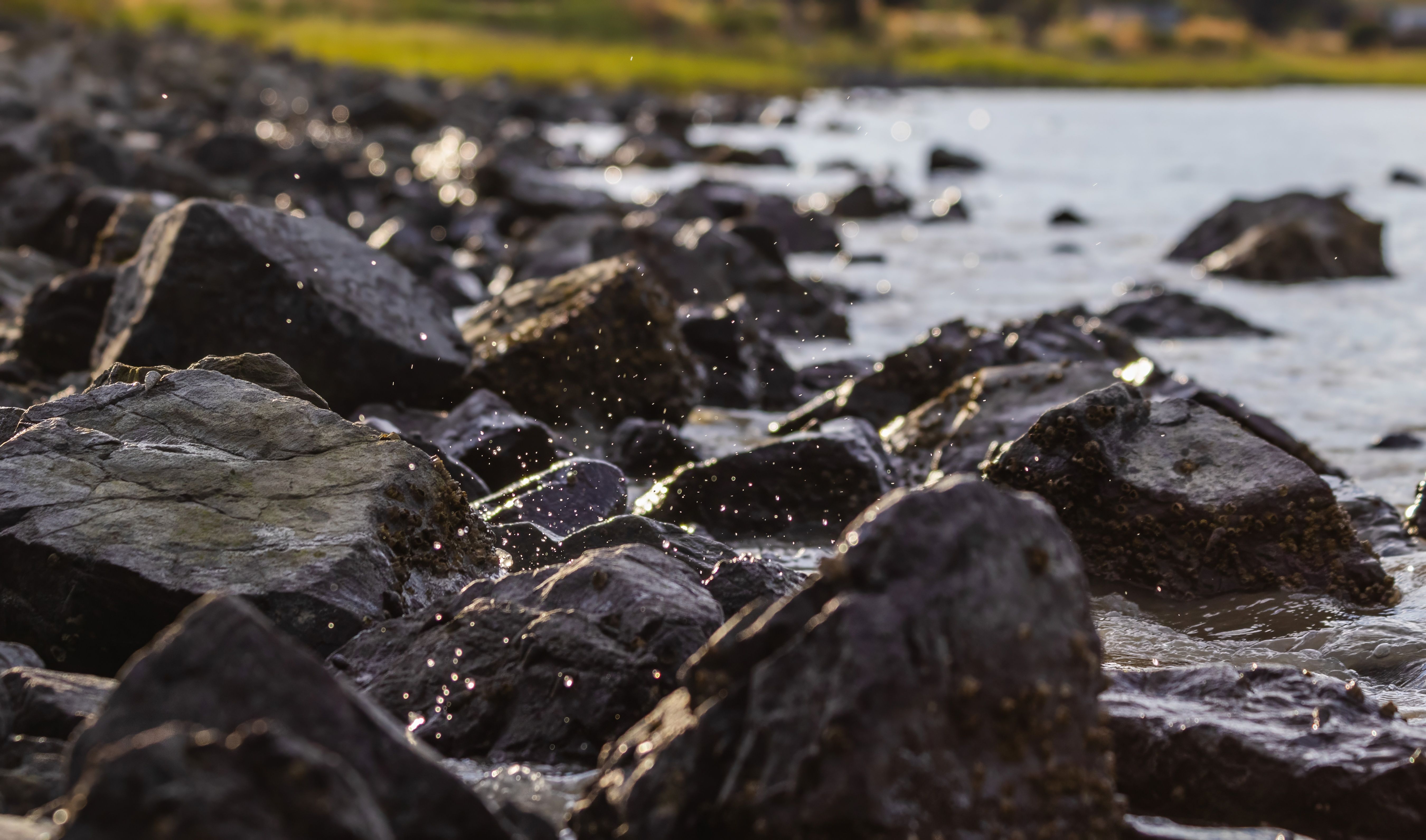 Close-up of Rocks on the Shore · Free Stock Photo