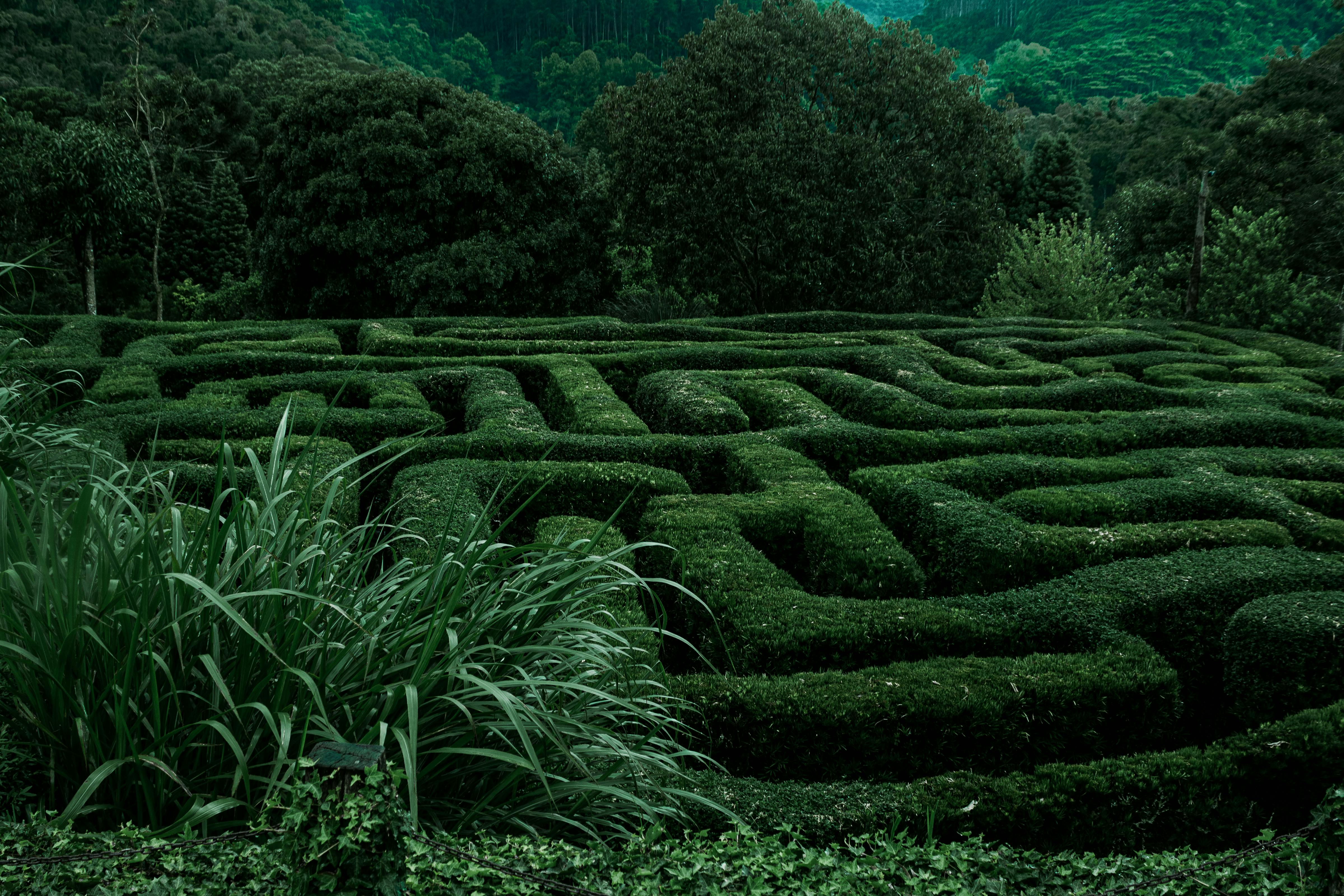Explore the intricate green hedge maze in Campos do Jordão, Brazil