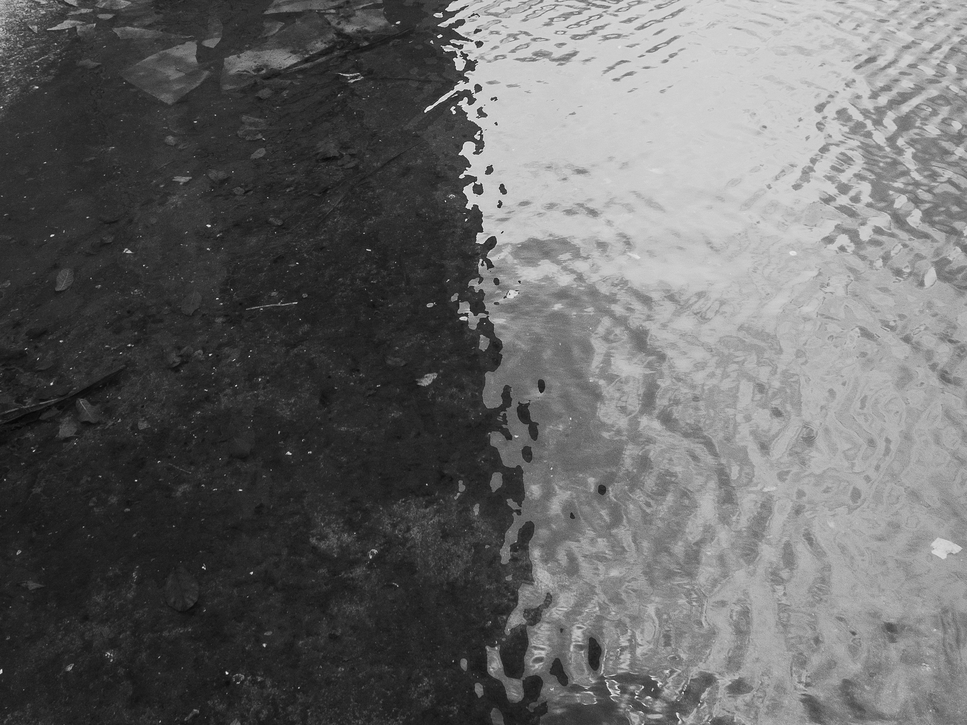 pexels-photo-18020642.png?auto