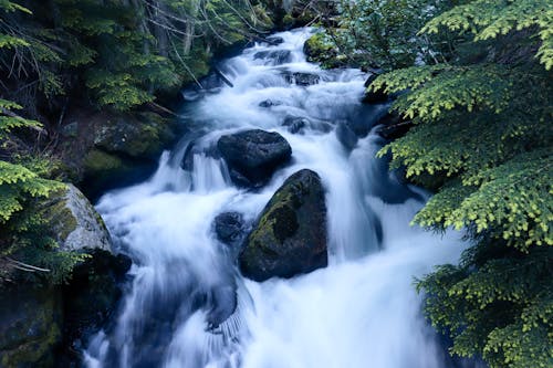 Immagine gratuita di acqua corrente, america, cascata