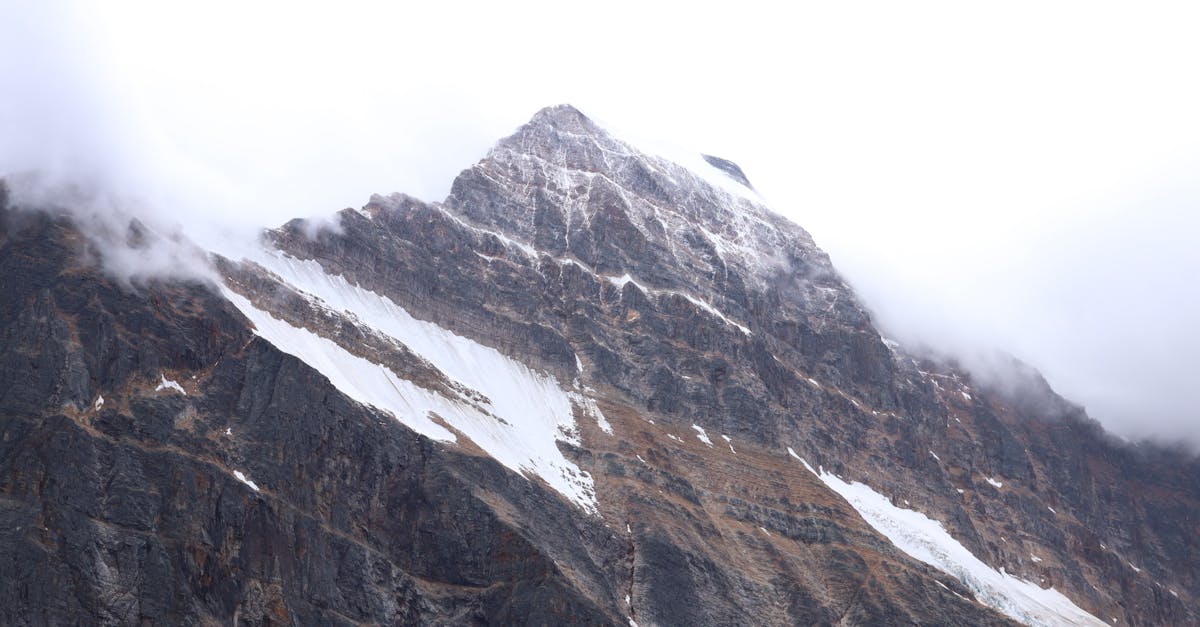 pexels-photo-18021192.jpeg?auto=compress&cs=tinysrgb&fit=crop&h=627&w=1200