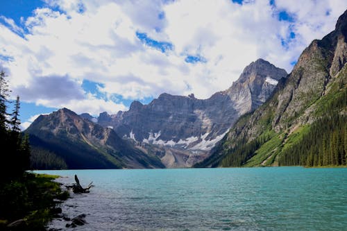 Immagine gratuita di canada, lago morenico, natura
