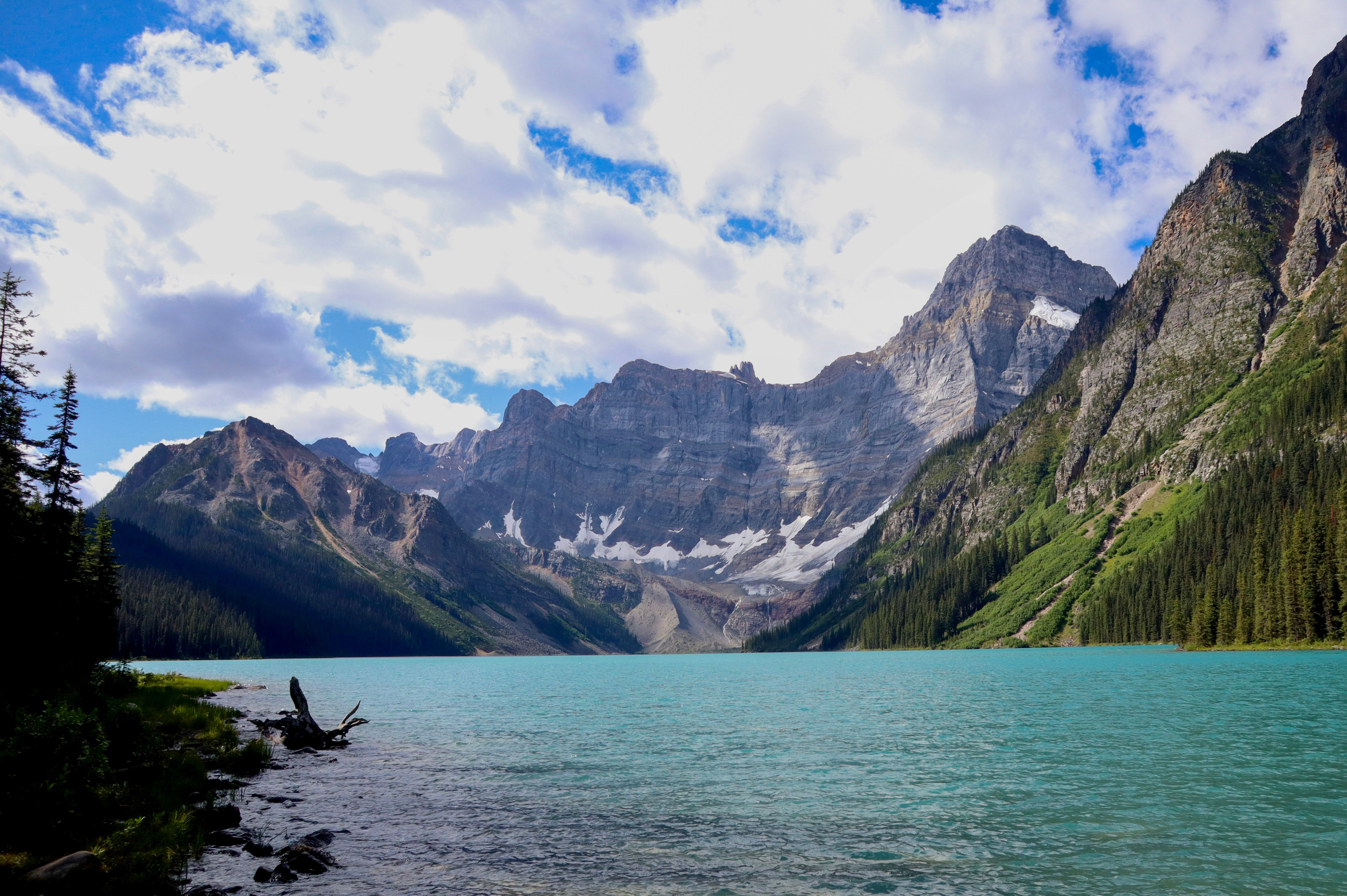 Zadarmo Fotobanka s bezplatnými fotkami na tému Alberta, Banff, banff národný park Fotka z fotobanky