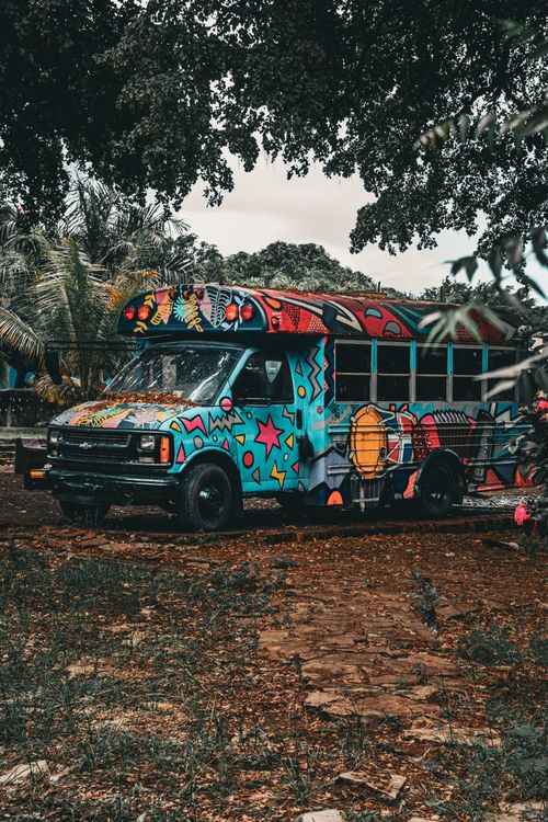 Free Vibrant painted bus parked in a lush Santo Domingo location, ideal for travel-themed visuals. Stock Photo