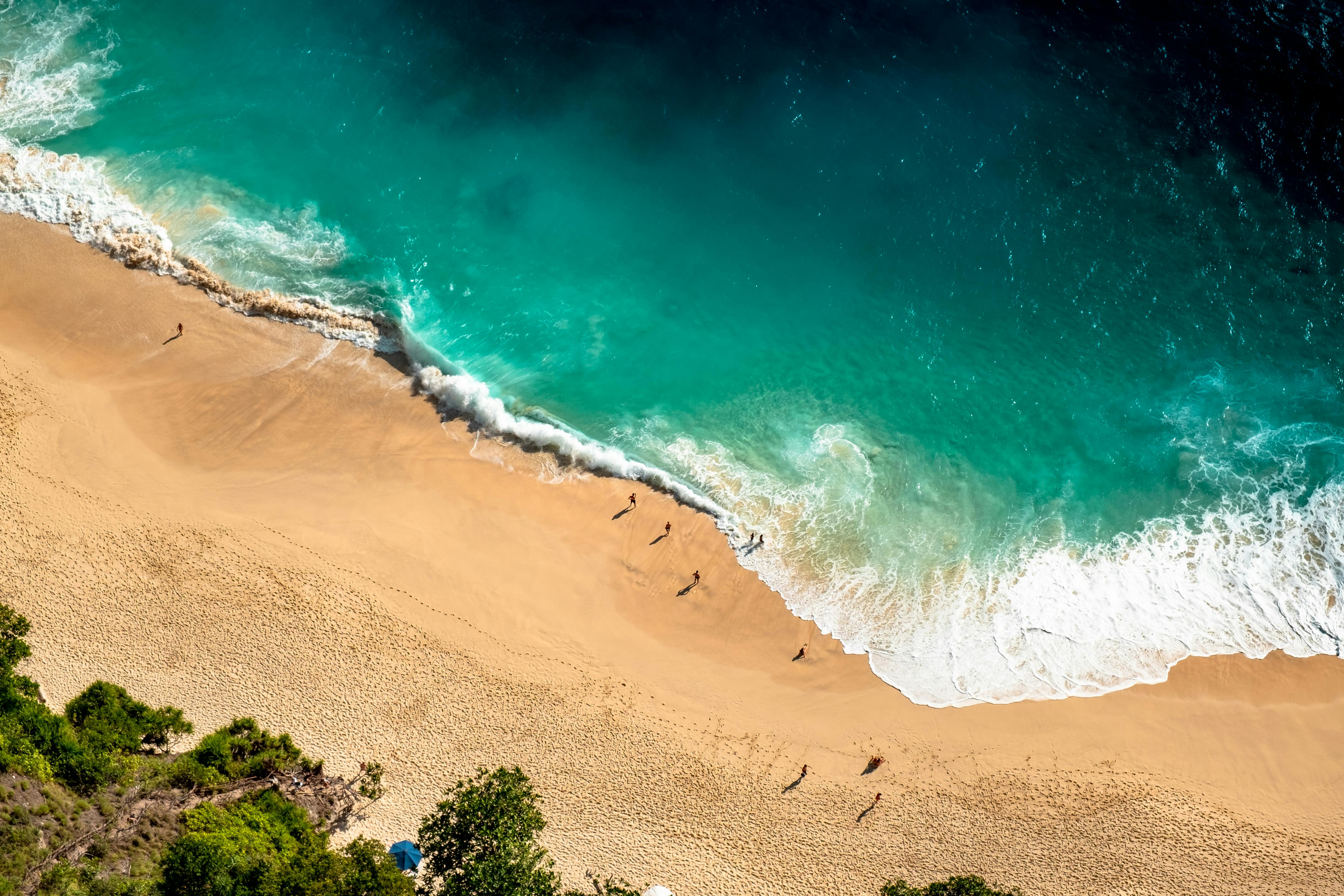  Drone  Shot of Beach  Shore  Free Stock Photo