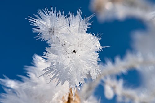 Closeup of Spiky Ice Crystals