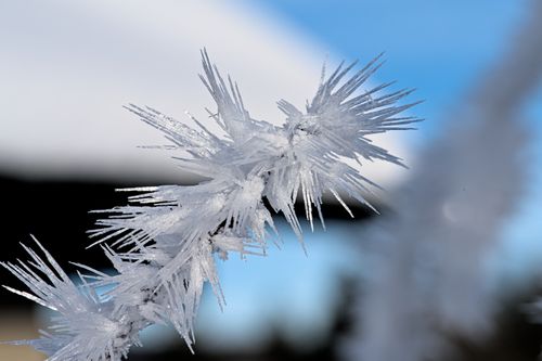Free Detailed frosty ice crystals on a branch in Le Locle, Switzerland's winter landscape. Stock Photo
