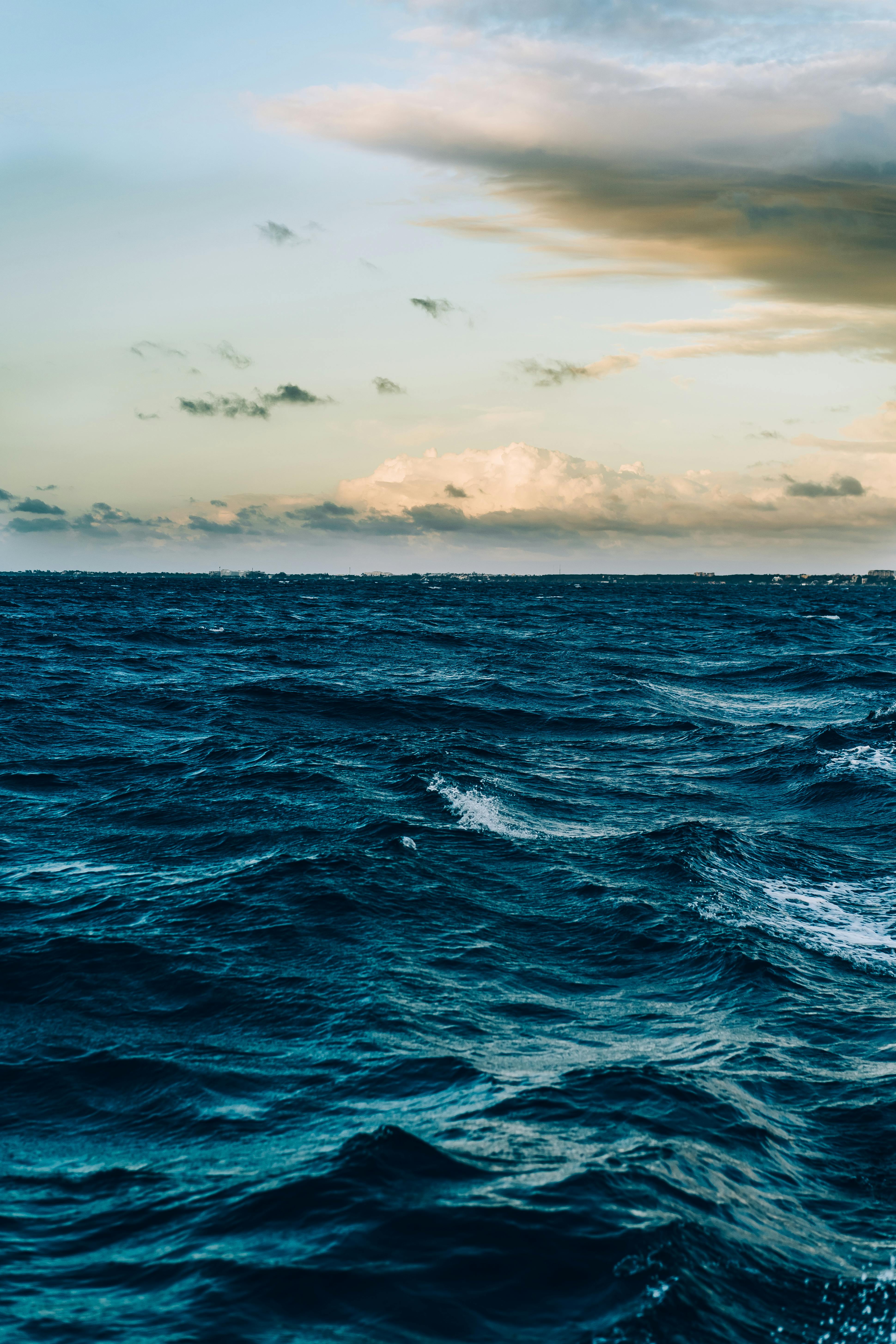 Ngỡ ngàng trước những hình ảnh ấn tượng về thế giới đại dương  VOVVN