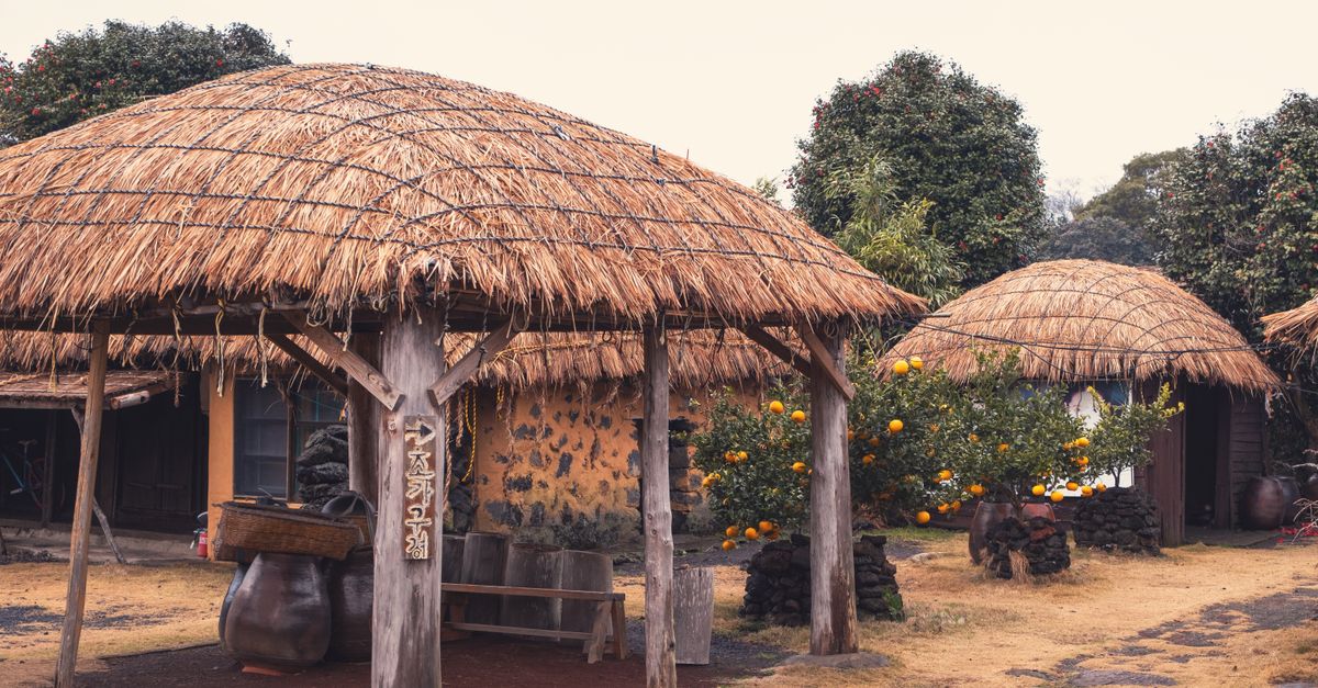Explore a traditional Jeju village featuring thatched huts and lush orange trees, capturing rural Korean culture.
