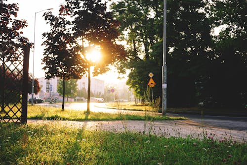 Fotobanka s bezplatnými fotkami na tému cesta, chodník, chodníky