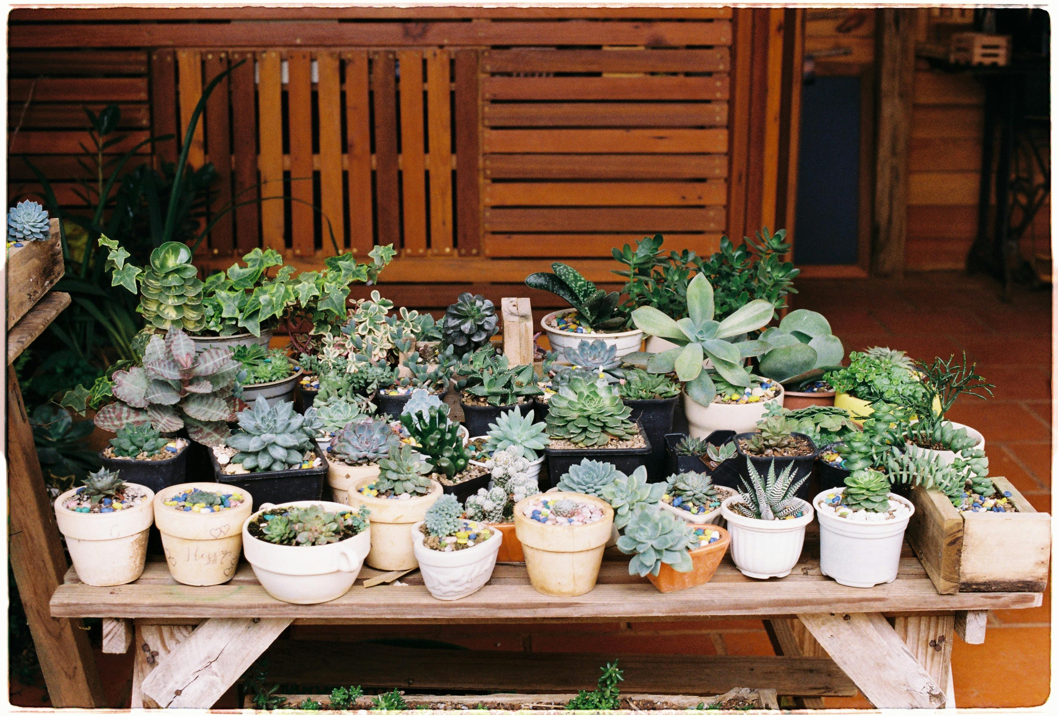 Indoor Planter Ideas