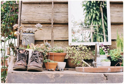 Potted Plant and Old Shoes on the Table in the Garden 