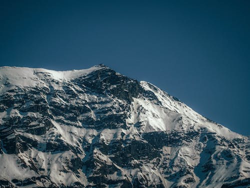 Foto profissional grátis de bico, cenário, com frio