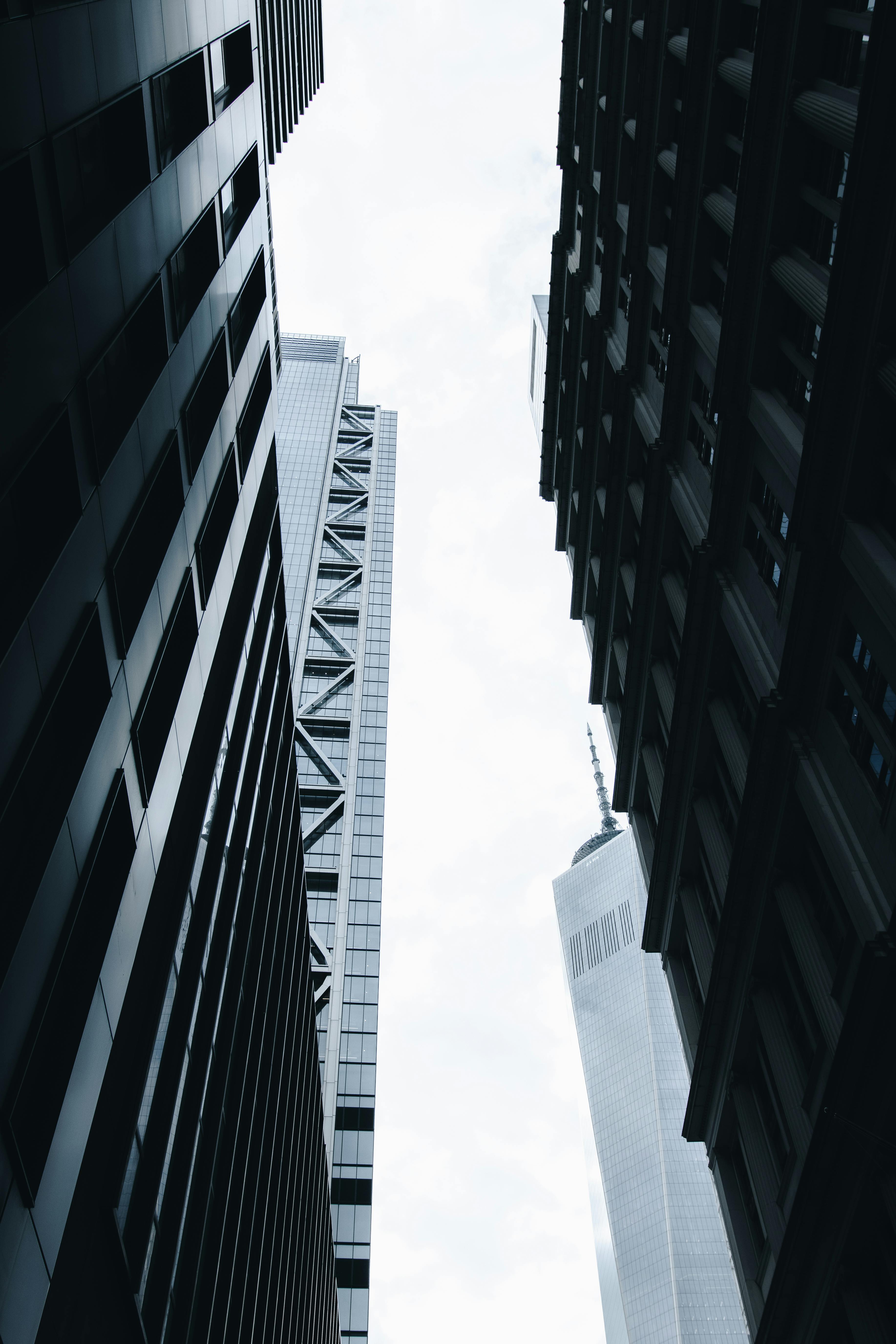 Monochrome view of towering skyscrapers in New York City's Financial District.