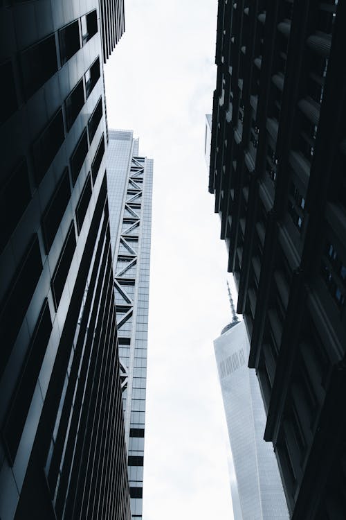 Monochrome Photo of Skyscrapers in New York City, USA