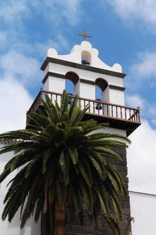 Belfry of the Church in Garachico Obscured by a Palm Tree