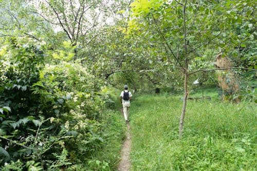 Man with a Back Pack Hiking in a Park