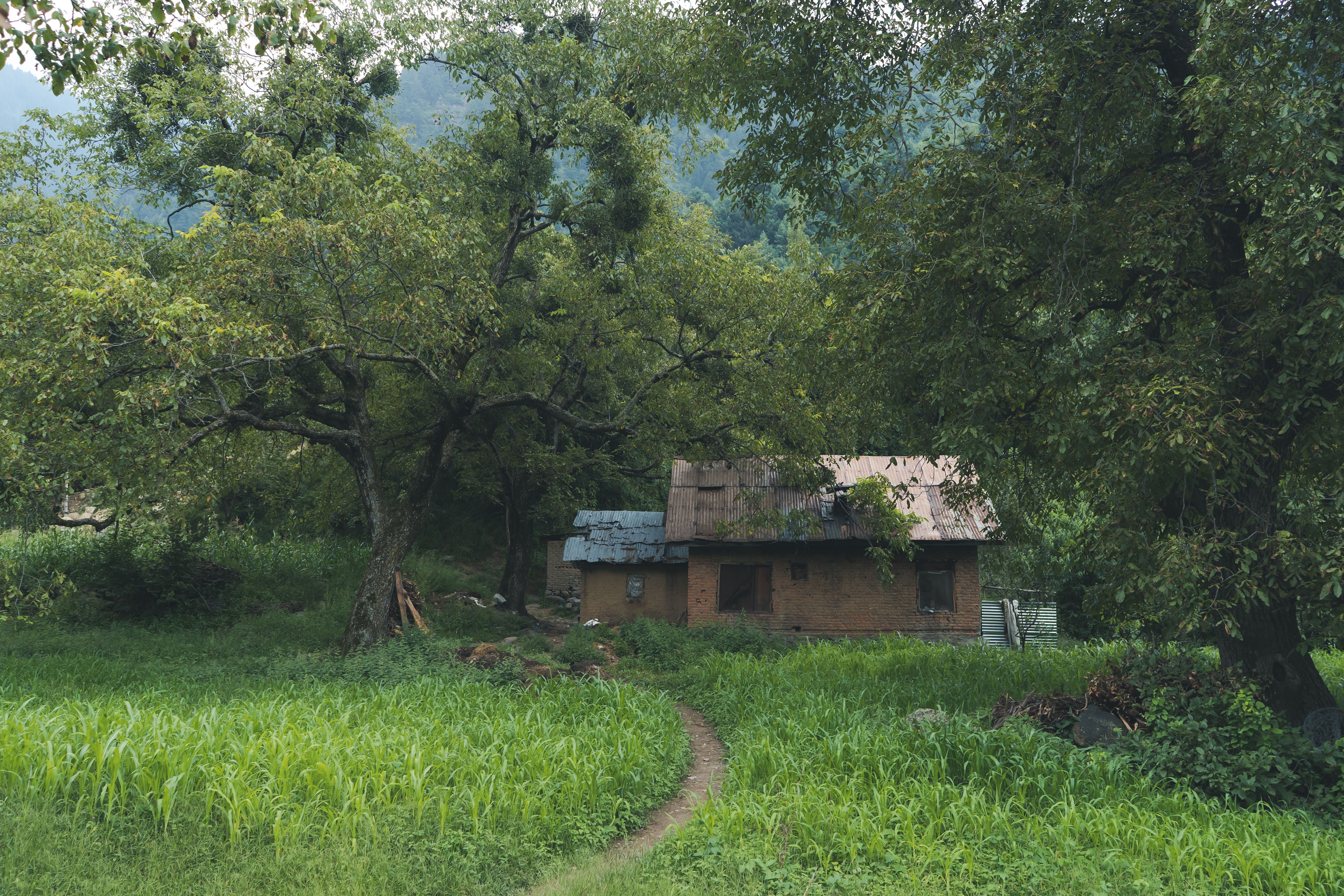 Nitya Resort