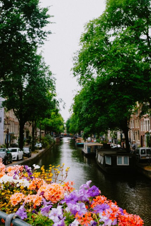 Free Scenic view of an Amsterdam canal with colorful flowers and greenery, showcasing urban tranquility. Stock Photo