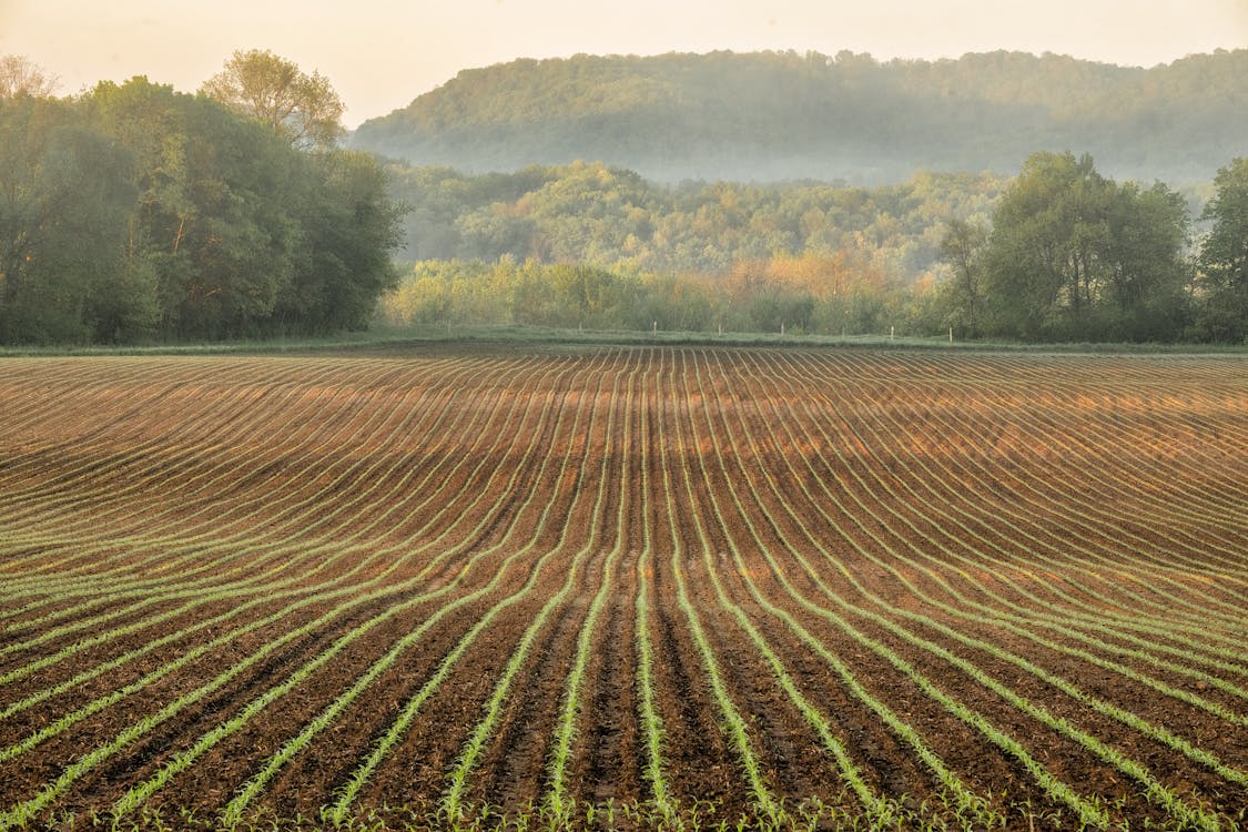 Fotobanka s bezplatnými fotkami na tému dedinský, farma, hory