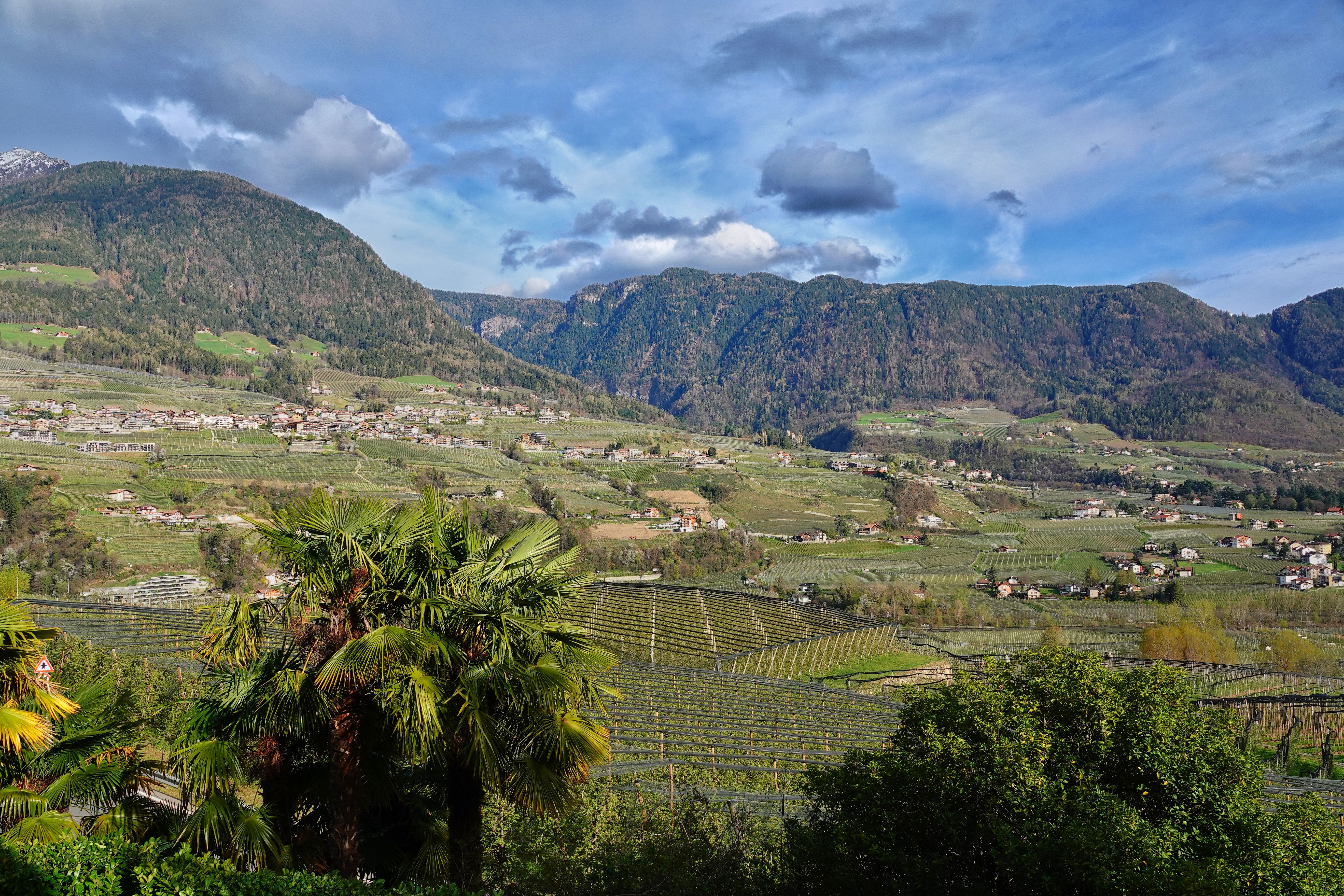 Kellerei Terlan - Cantina Terlano