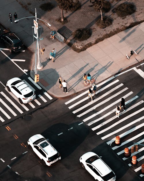 People on a Pedestrian Crossing Seen From Above 