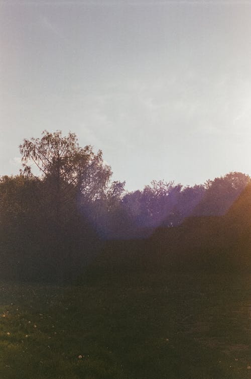 Countryside in Summer at Sunset