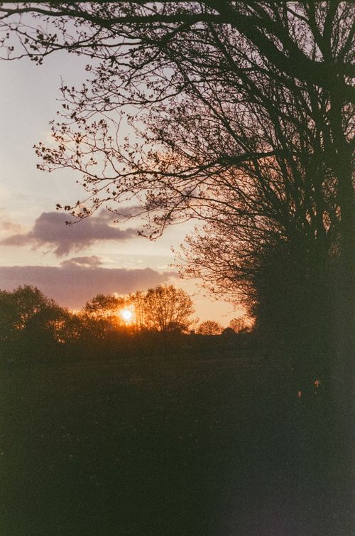 Free A serene sunset view with silhouetted trees and rich colors. Stock Photo