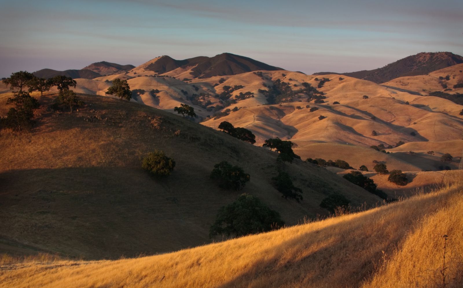 Golden Northern California hills at sunset