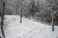 Winter scene with snow-covered forest path in Vilnius, Lithuania, perfect for exploring and hiking.