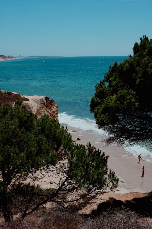 Free Beautiful coastal view of Algarve with cliffs, pine trees, and turquoise waters, perfect for summer travel. Stock Photo