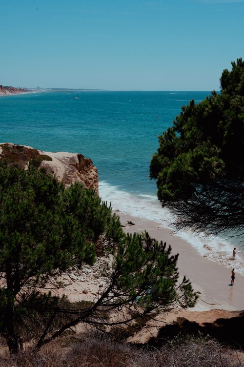 Free A serene beach scene with turquoise waters and lush greenery, perfect for a tropical vacation feel. Stock Photo
