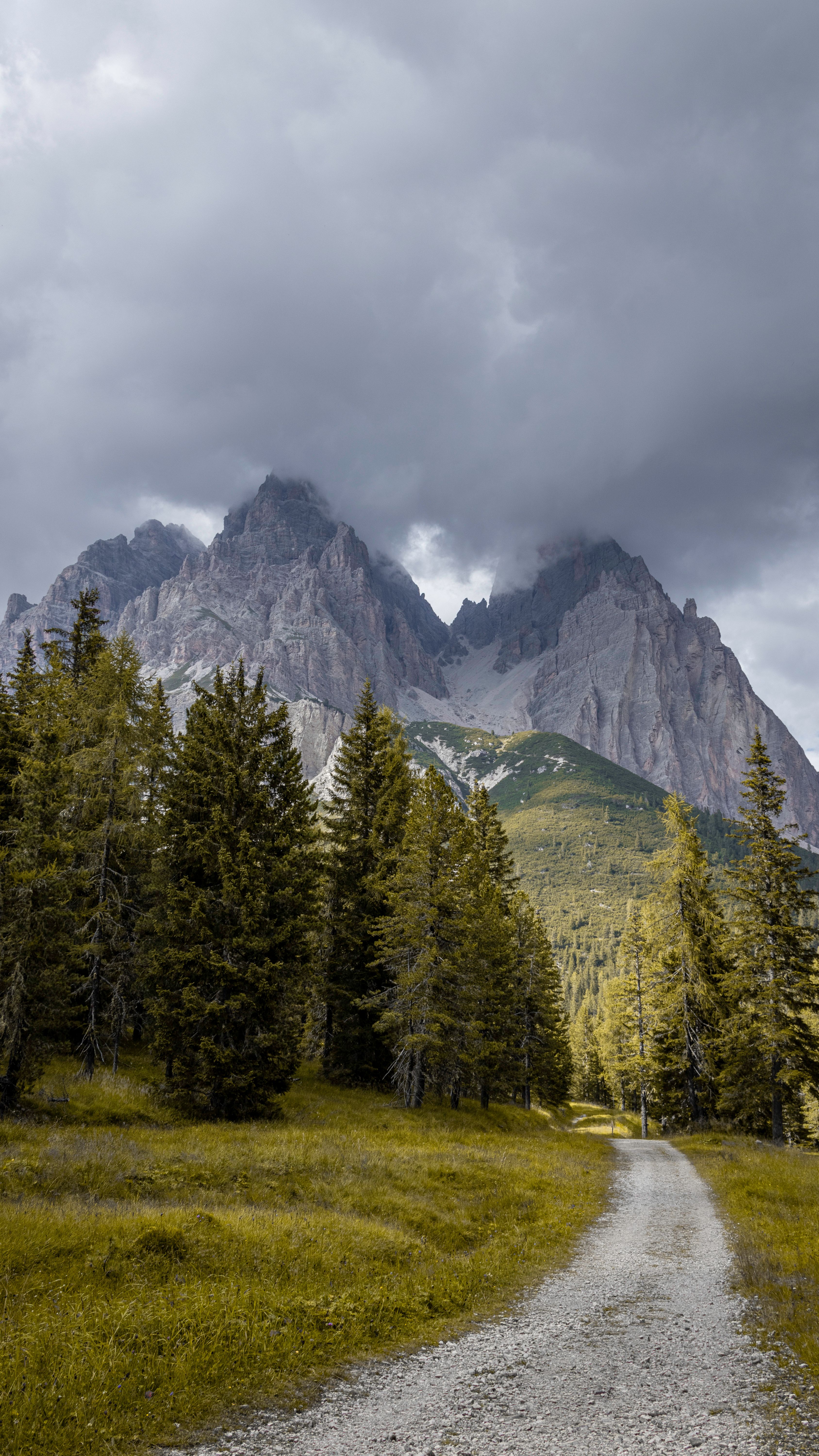 A scenic mountain trail surrounded by lush trees and towering peaks beneath a cloudy sky.