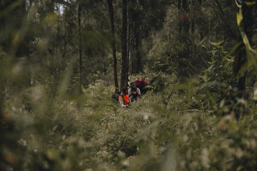 Trail day in the Western Ghats