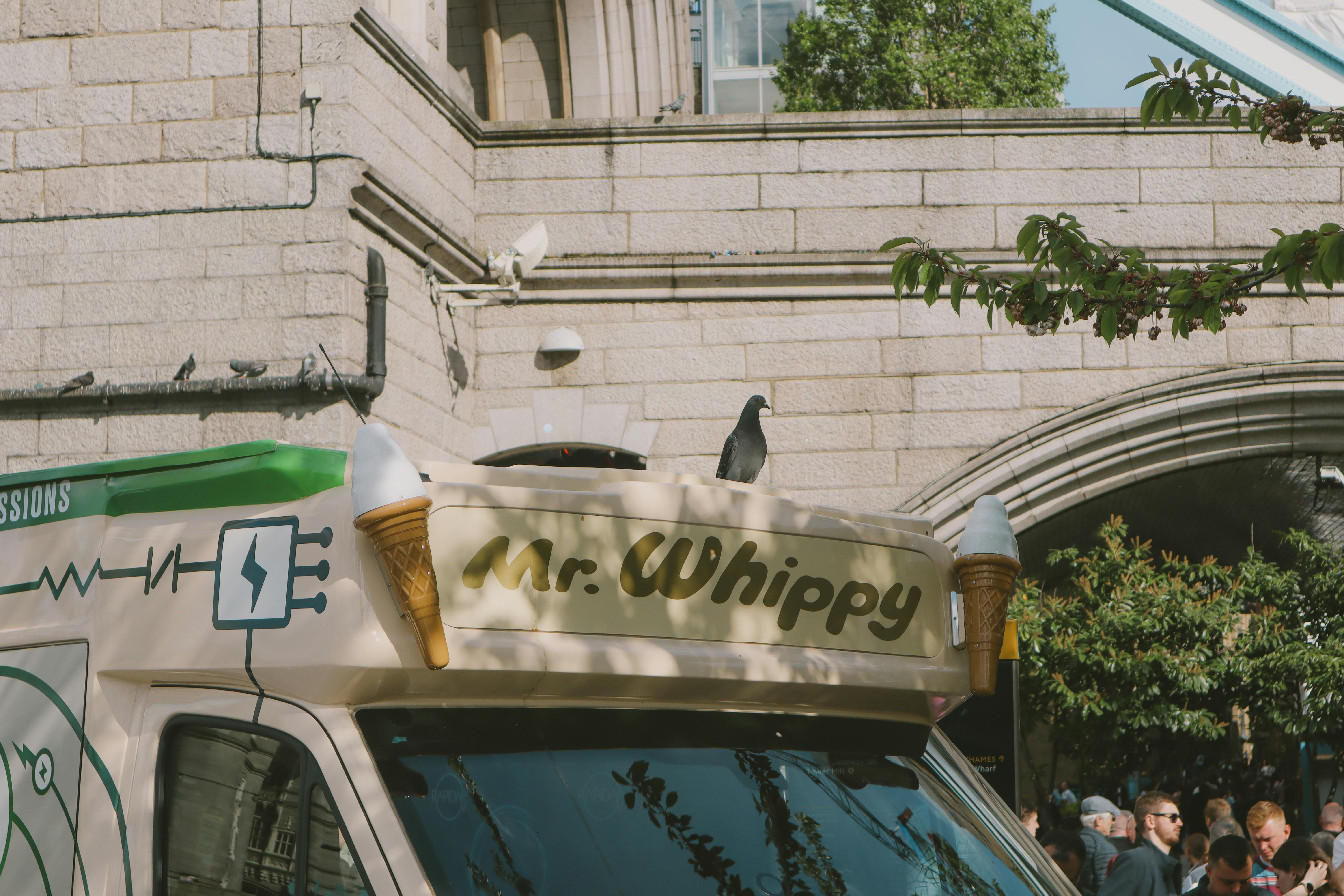 Gratis Fotos de stock gratuitas de acera, adoquín, al aire libre Foto de stock